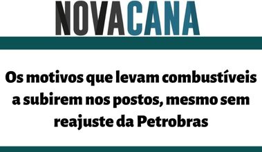 iepuc-na-midia